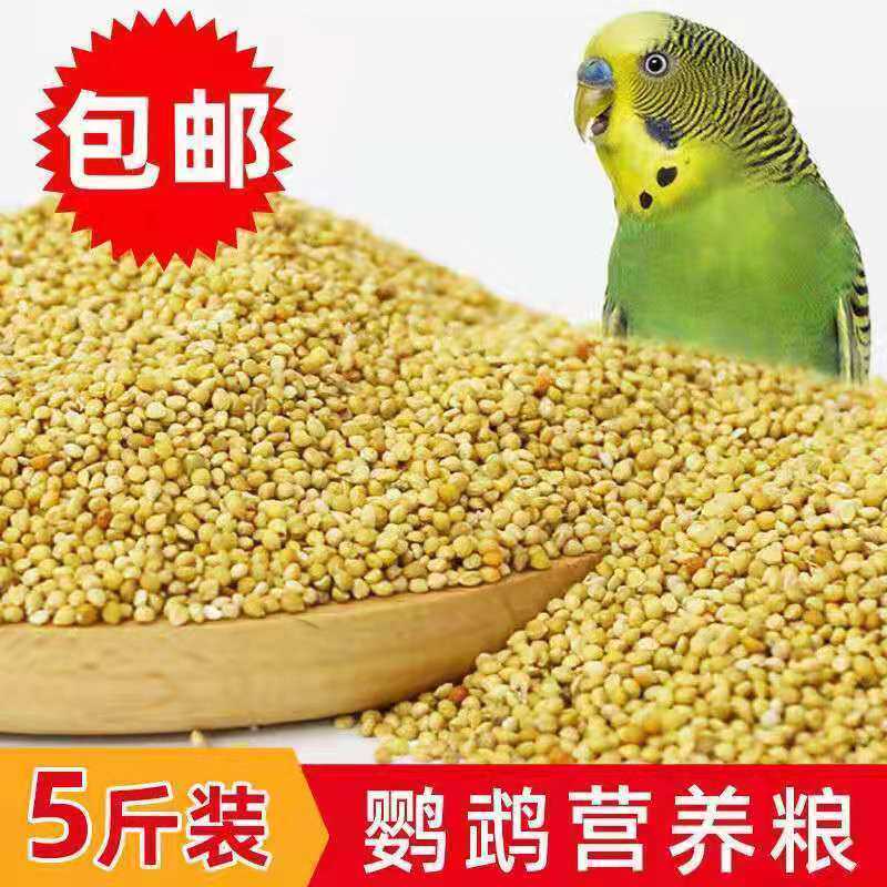 虎皮鹦鹉鸟博士带壳小米营养粮食