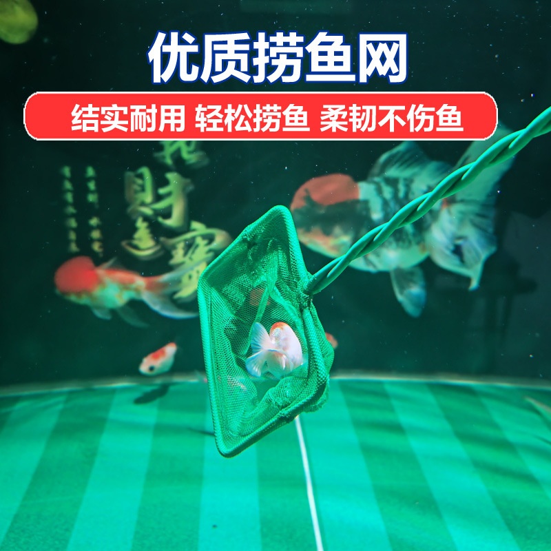 鱼缸捞鱼网小型观赏鱼孔雀鱼斗鱼网兜家用儿童小孩鱼捞方形手抄网