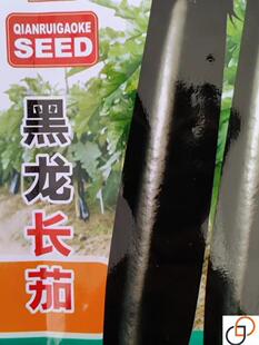 日本黑贵人长茄子种子黑神黑龙茄子种籽黑紫色早熟高产蔬菜长茄孑