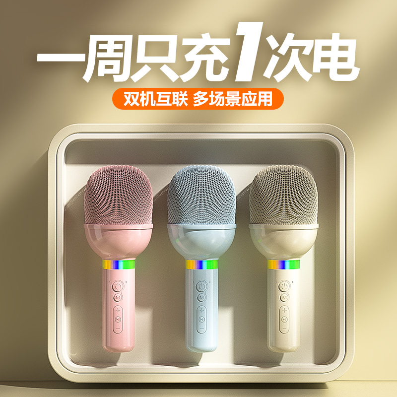 政府补贴2025唱歌话筒音响一体式