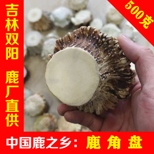 鹿角帽整个鹿角盘鹿角根雕刻高密度鹿托盘打粉双阳鹿乡 金诺鹿业
