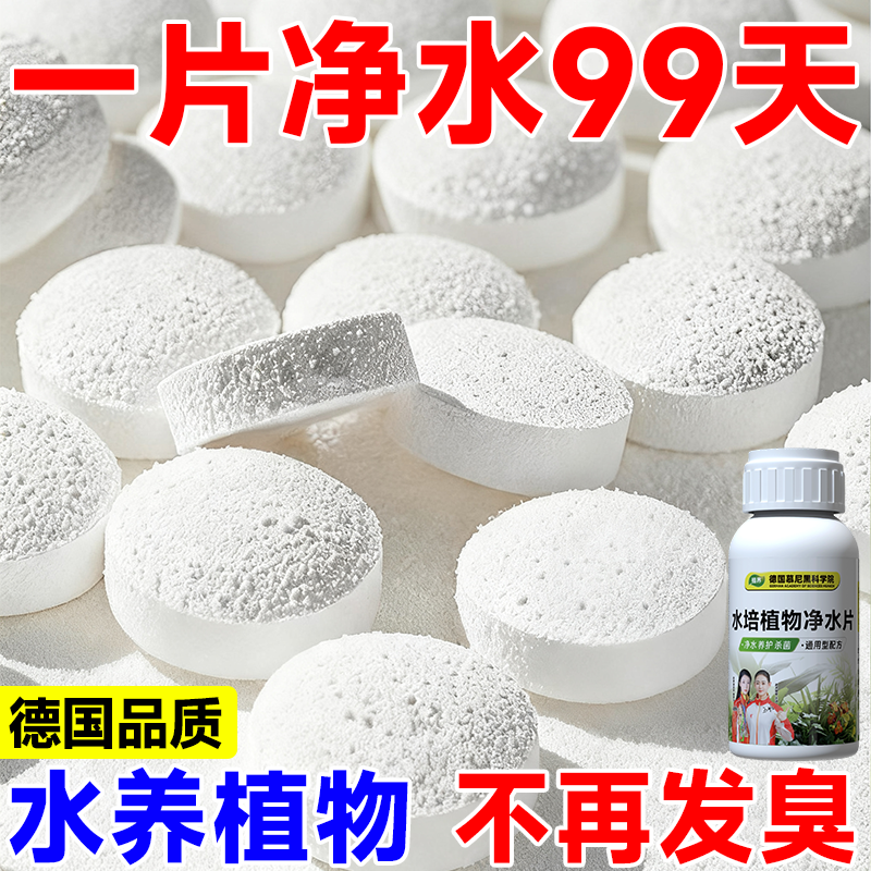 水培植物净水片除臭杀菌消毒鲜花
