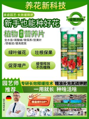 【德国园艺师】植物营养缓释片花卉绿植多肉通用型氮磷钾复合肥料