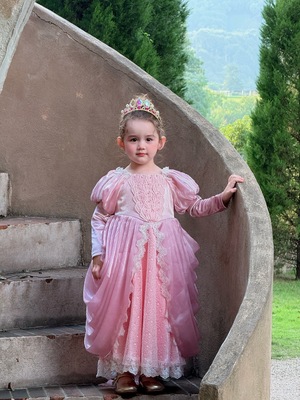 女童25秋冬新款爱丽儿公主裙粉色重工美人鱼长裙丝绒长袖生日礼服