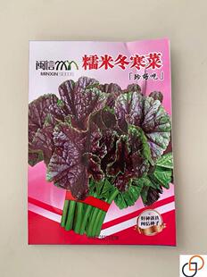 糯米冬寒菜种籽冬苋菜种子适合冬天菜种冬季蔬菜苗青菜孑菜籽菜苗