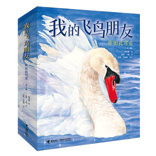 【签名版赠手绘本】我的飞鸟朋友你如此可爱全4册保冬妮类3-8岁儿童绘本图画故事亲子共读启蒙早教生命自然教育绘本2022中国好书籍