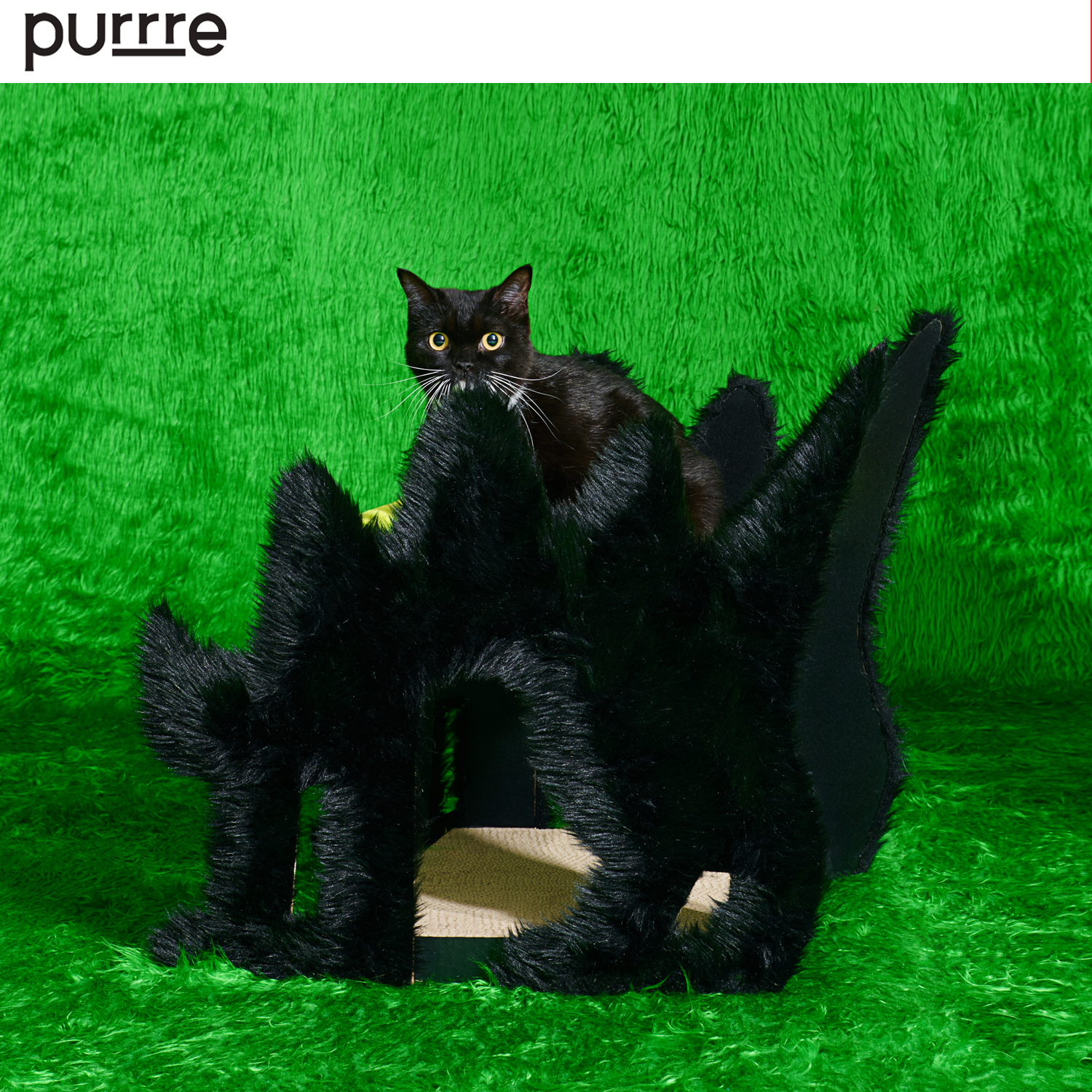 purrre猫窝双层多功能