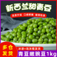 新西兰甜豆仁甜小豆豌豆粒沙拉炒饭配菜蔬菜 新鲜冷冻甜青豆1kg
