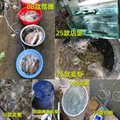 赛尔力霸增氧机卖鱼专用充电便携式 氧气泵增氧器锂电池两用增氧泵