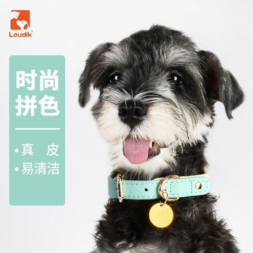 狗狗牵引绳项圈小型防水咬断真皮