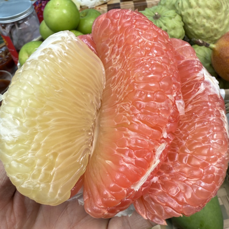 【新鲜到货】安帕瓦白蜜柚+翡翠柚青柚子新鲜水果厚整箱皮厚