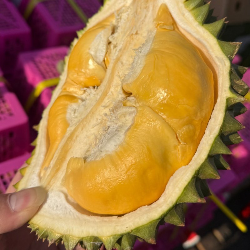 【A果大果】菲律宾空运黄金普雅6-7斤 保底6斤肉黄味浓超糯勿生切,水产肉类/新鲜蔬果/熟食,榴莲,淘宝优惠券,粉丝福利购,淘宝优惠卷