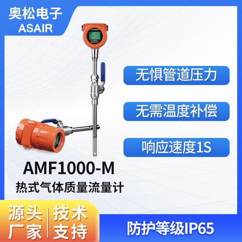 高精度热式气体质量流量计