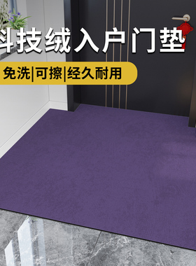 纯色地垫入户门垫进门2024新款地垫紫色入户门垫玄关防滑脚垫