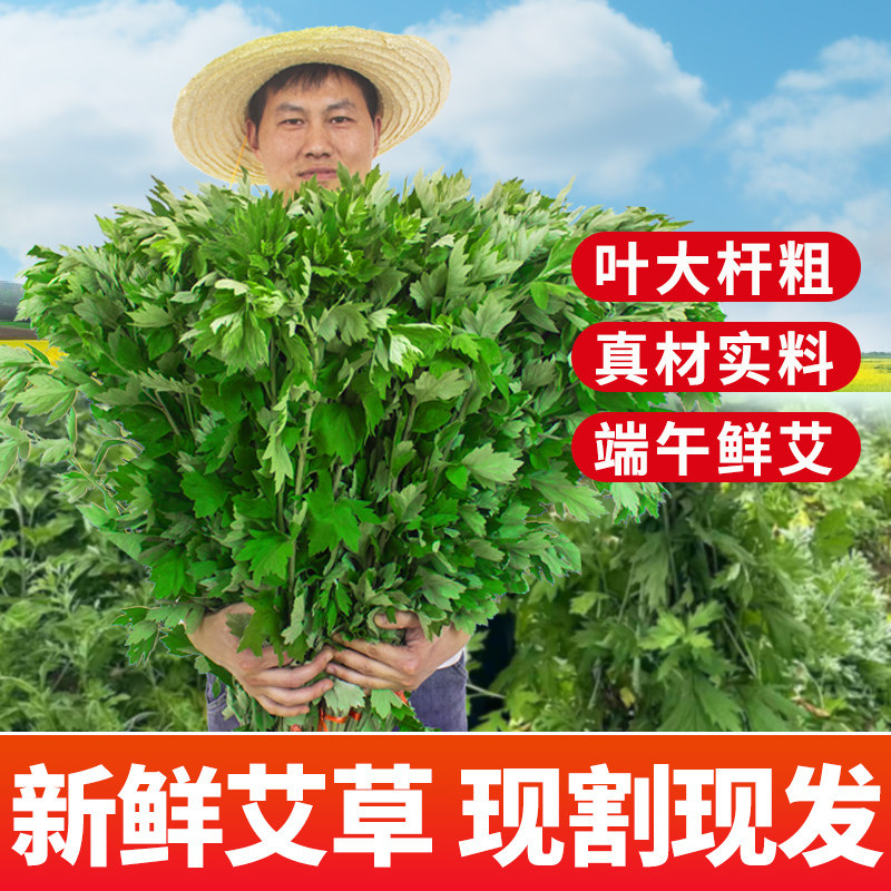 新鲜艾草，现割现发，新鲜到家