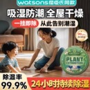 超强除湿挂件防霉全天清洁空气持久省心清除神器 家里不潮湿了