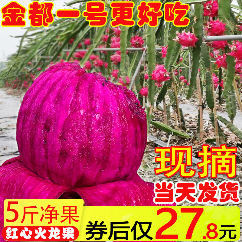 红心火龙果当季水果新鲜红肉大果金都一号蜜宝批发整箱5斤包邮10