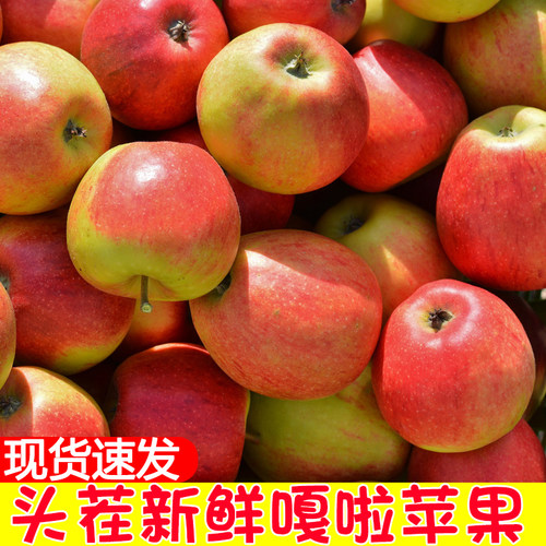 新鲜粉面秦冠苹果老人宝宝刮泥