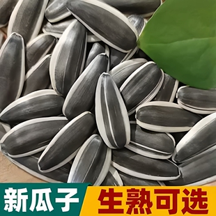 内蒙新鲜炒熟原味大颗粒新货生瓜子葵花籽五香新货363大颗粒炒货