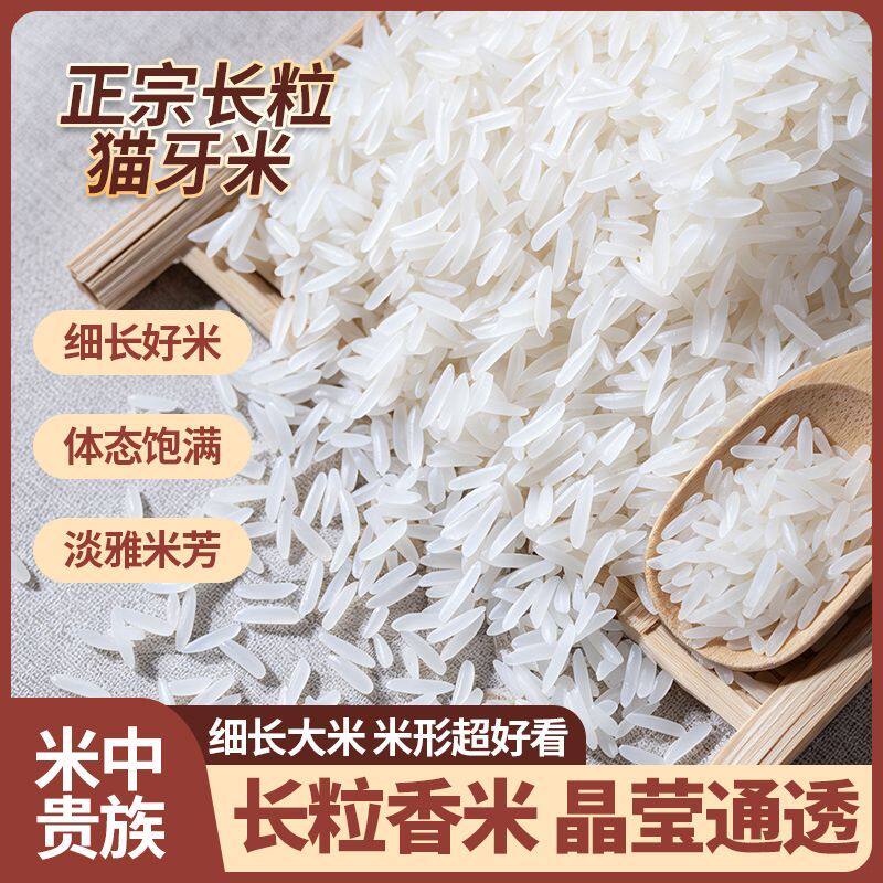 正宗猫牙米5斤装当季新米优质长粒香米原阳煲仔饭炒饭大米真空装