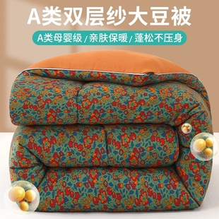 A类双层纱大豆纤维被子冬被春秋被芯被褥加厚保暖棉絮被单双人8斤