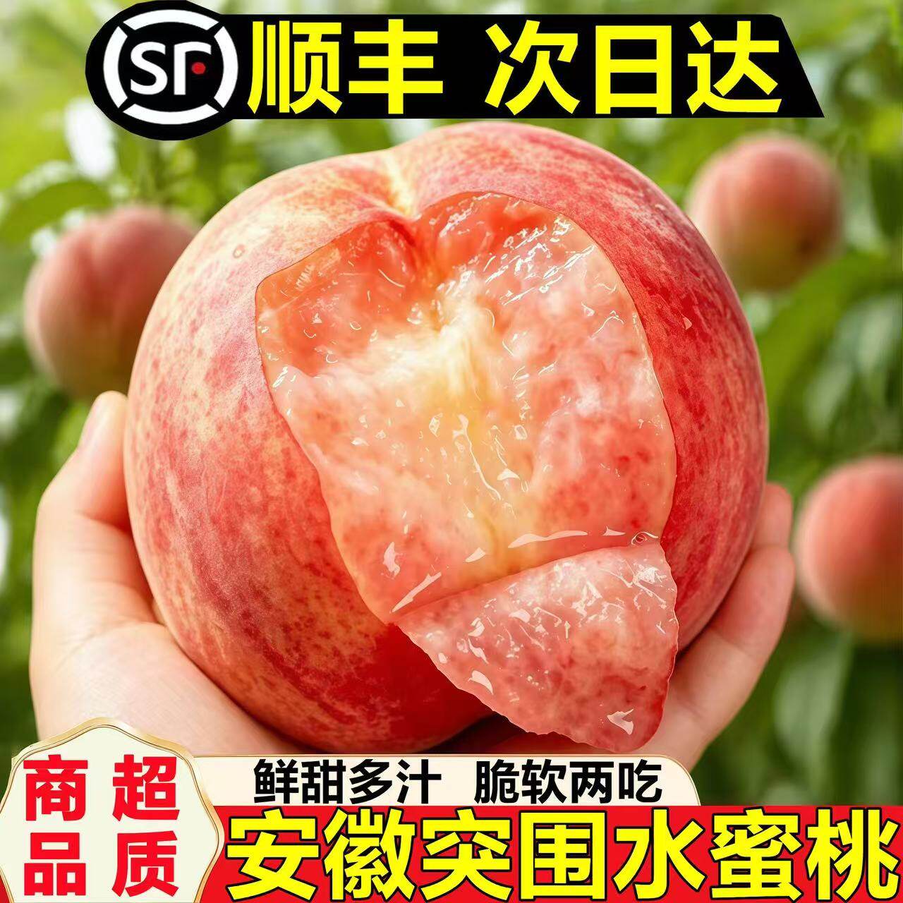 正宗突围水蜜桃新鲜水果脆软多汁甜蜜大果当季现摘现发大白桃孕妇