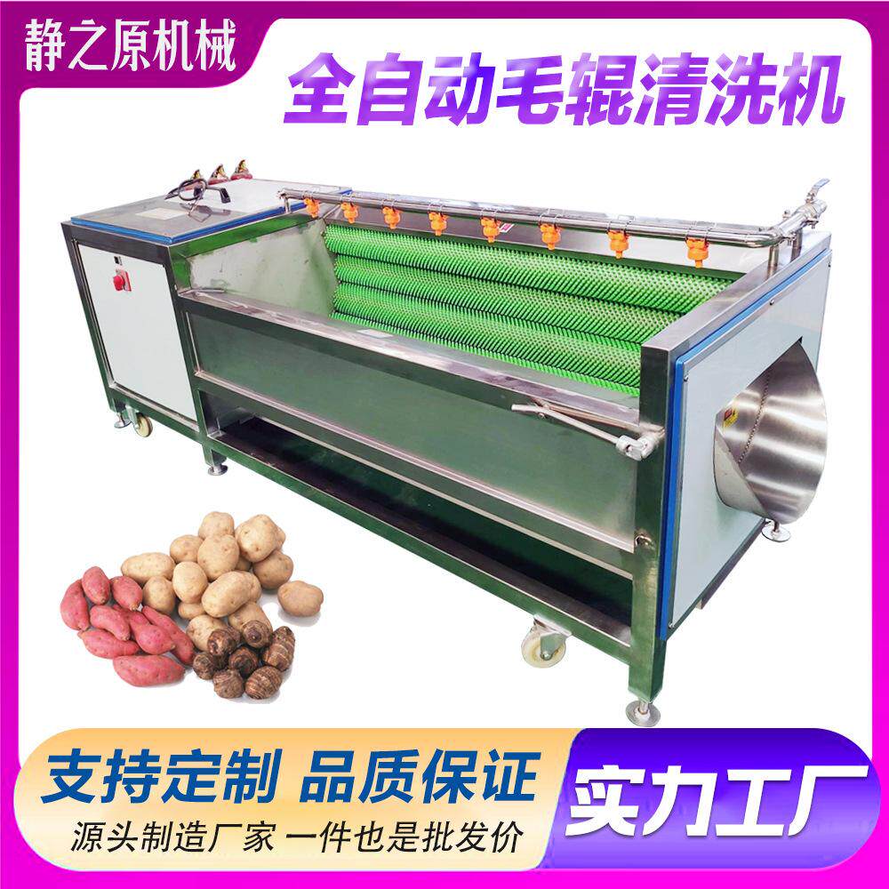 毛辊清洗机商用土豆红薯去皮机芋头生姜莲藕脱皮机果蔬泥沙清洗机