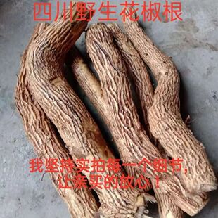 现挖新鲜花椒根花椒树根当季山花椒根晒干狗屎椒根野川根煲汤