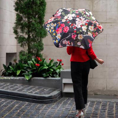 蛇年限定/晴雨两用伞/半自动伞