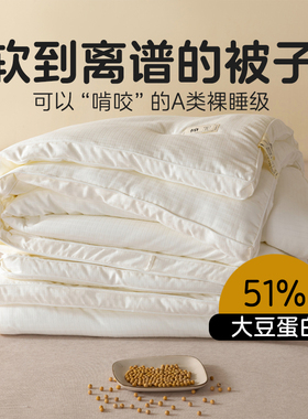 A类大豆被家用学生被子宿舍单人春秋被芯夏被双人150x200四季通用