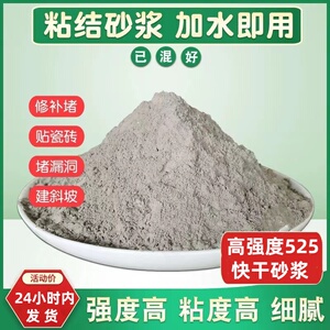 水泥砂浆快干水泥填缝堵漏王家用地面修补砂浆胶抗裂砂浆速干水泥