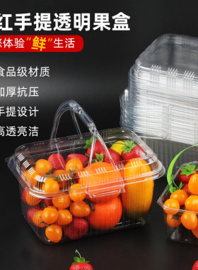 一次性透明手提水果盒带盖采摘篮樱桃2-3-4斤便携式 桑葚打包盒子