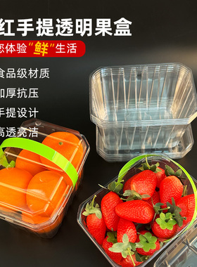 手提盒水果打包盒一次性水果盒枇杷102B透明塑料盒网红采摘包装盒