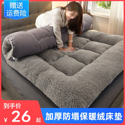 加厚羊羔绒床垫软垫被