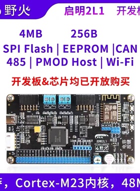 野火RA2L1开发板 ARM开发板 瑞萨R7FA2L1AB3CFP,RENESAS RA单片机