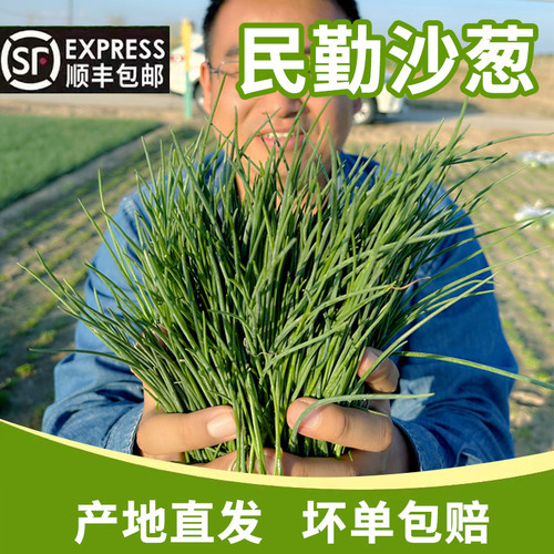 新鲜