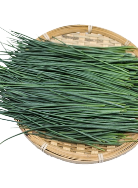 【顺丰快递】沙葱新鲜民勤特产泡沫箱冰袋保鲜1/5斤新鲜蔬菜包邮