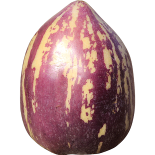 【精品礼盒装】顺丰快递甘肃民勤人参果5斤黄肉大果新鲜水果