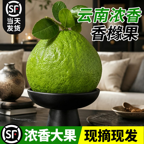 【浓香香橼鲜果】桌面佛手柑香薰