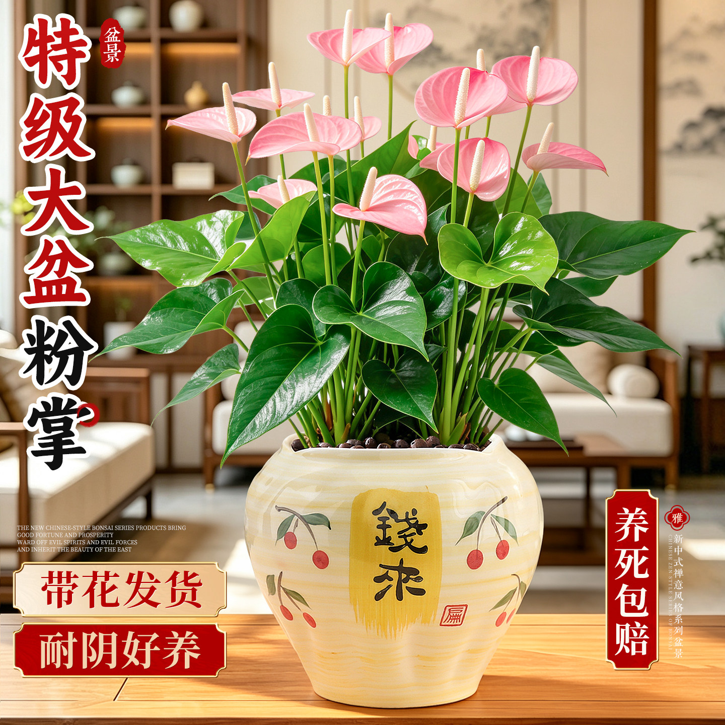 特级带花粉掌盆栽客厅室内桌面绿植花卉耐阴好养净化空气红粉佳人