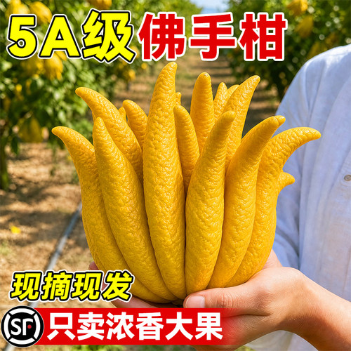 【浓香大果】佛手柑香橼天然香薰
