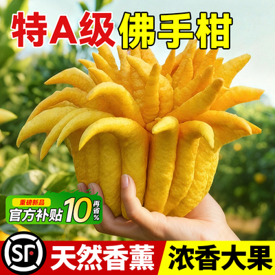 【A级大果】浓香佛手柑天然香薰