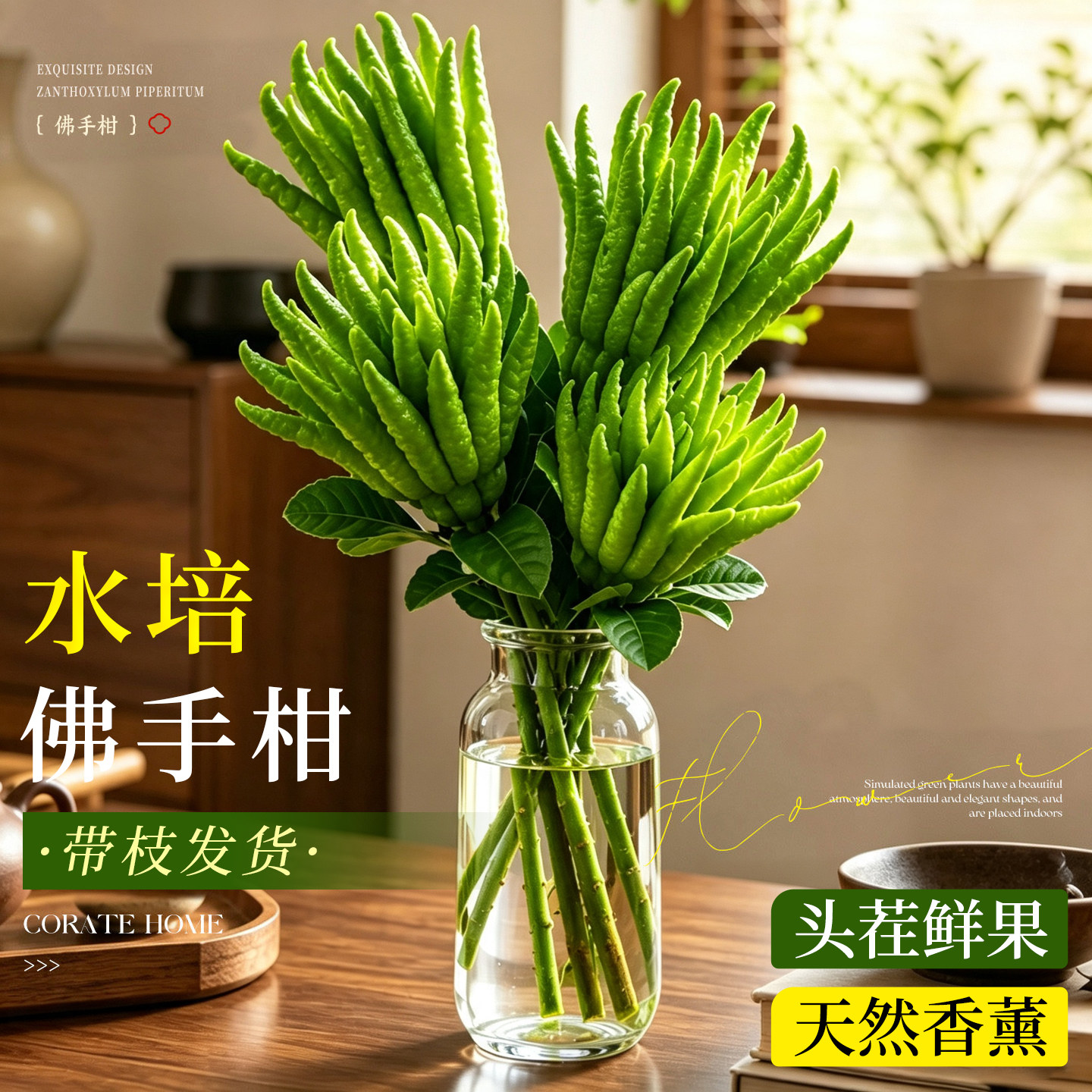 【水培带枝佛手柑】新鲜大果闻香图片