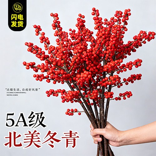 北美冬青红果水培鲜花新年盆栽室内鲜切银柳真花鲜枝年宵花卉水养,鲜花速递/花卉仿真/绿植园艺,绿植,淘宝优惠券,粉丝福利购,淘宝优惠卷
