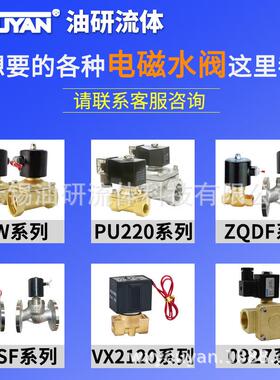 耐高温蒸汽电磁阀2L170 2L200 160 250 US-20 2L-15 25 32 40 50F