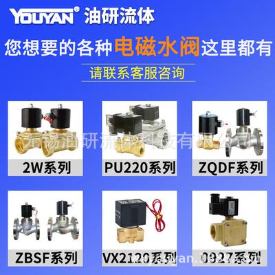 耐高温蒸汽电磁阀2L170 2L200 160 250 US-20 2L-15 25 32 40 50F