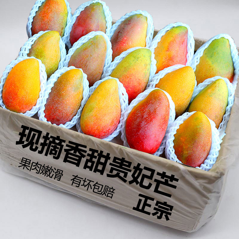 新上市贵妃芒果新鲜水果应当季整箱金大果煌大芒果产地直发鲜果