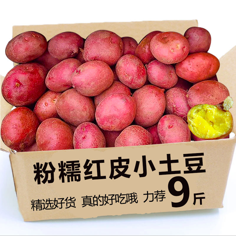 新鲜云南红皮土豆黄心大红洋芋农家蔬菜现挖现发新鲜高山自种批发