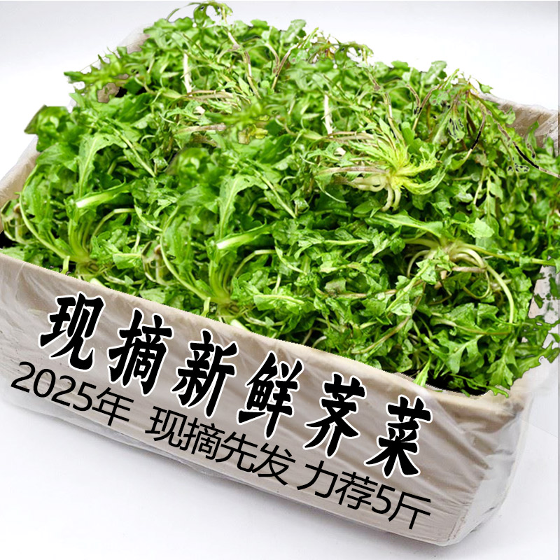 现挖荠菜正宗苏北农家蔬菜香荠荠菜鲜地丁野菜新鲜整箱顺丰包邮