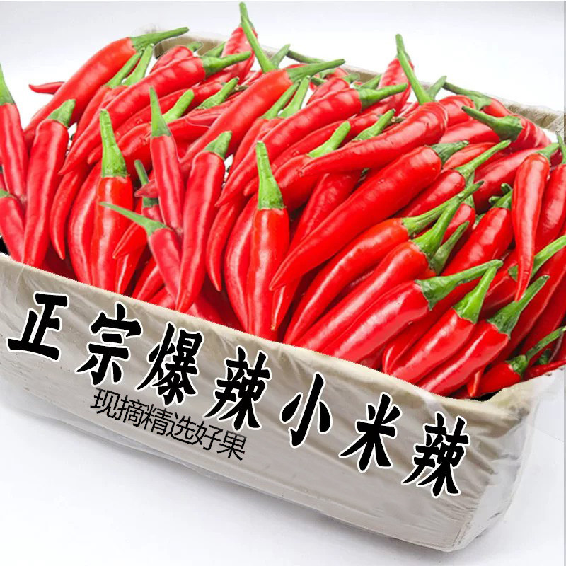 现摘小米辣新鲜当季辣椒9斤特辣小米辣椒整箱朝天椒农家自种包邮